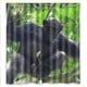 thumbnail image 1 of Cortina de ducha con diseño de chimpancé, con ganchos, 167 x 183 cm, 1 of 3