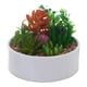 thumbnail image 1 of Planta Decorativa Suculentas Multicolor Maceta Bca., 1 of 4