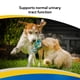 thumbnail image 3 of Suplemento Cranberry Extra 60 Tabletas Para Perros Y Gatos, 3 of 6