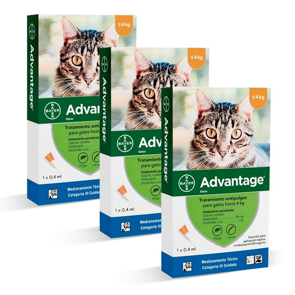 PACK Antiparasitario Pipeta - Advantage Gato 0-4Kg