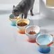 thumbnail image 5 of Cuenco de cerámica para gatos, utensilios para proteger las vértebras cervicales, olla para comer comida para gatos, cuenco para gatos con peces de colores, 5 of 5