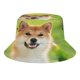 thumbnail image 1 of Sombrero Bucket Desmarcar Shiba Inu Adulto, 1 of 6