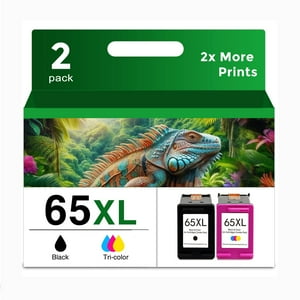 Cartucho De Tinta De Repuesto Skyink 65Xl Para Hp 65 Xl (Negro/Color)