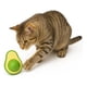 thumbnail image 1 of Bola Hierba Gatera Catnip Gatos Bola Snack Catnip Antiestrés Palta, 1 of 3