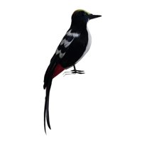 Magideal - Hecho A Mano Pájaro Carpintero Decoración Película Pájaro Casa Regalo Escena Modelo Arte Realista Estatua Modelo Para Jardín Patio Hogar Patio Al Aire Estilo D