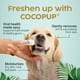 thumbnail image 2 of Toallitas limpiadoras dentales para perros Cocopup 50 almohadillas con aceite de coco, 2 of 7