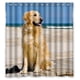 thumbnail image 1 of Cortina de ducha con diseño de perro golden retriever y ganchos, tamaño 60 x 72 pulgadas, 1 of 3