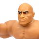 thumbnail image 3 of Juguete sensorial Heroes of Goo Jit Zu WWE Stretchy The Rock, 3 of 3