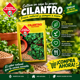 thumbnail image 4 of Semillas Cilantro para Huerto y Cocina | Las Encinas, 4 of 4