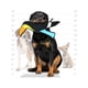 thumbnail image 2 of Juguete para perros ANSALDO PETS Tucán resistente a, 2 of 4