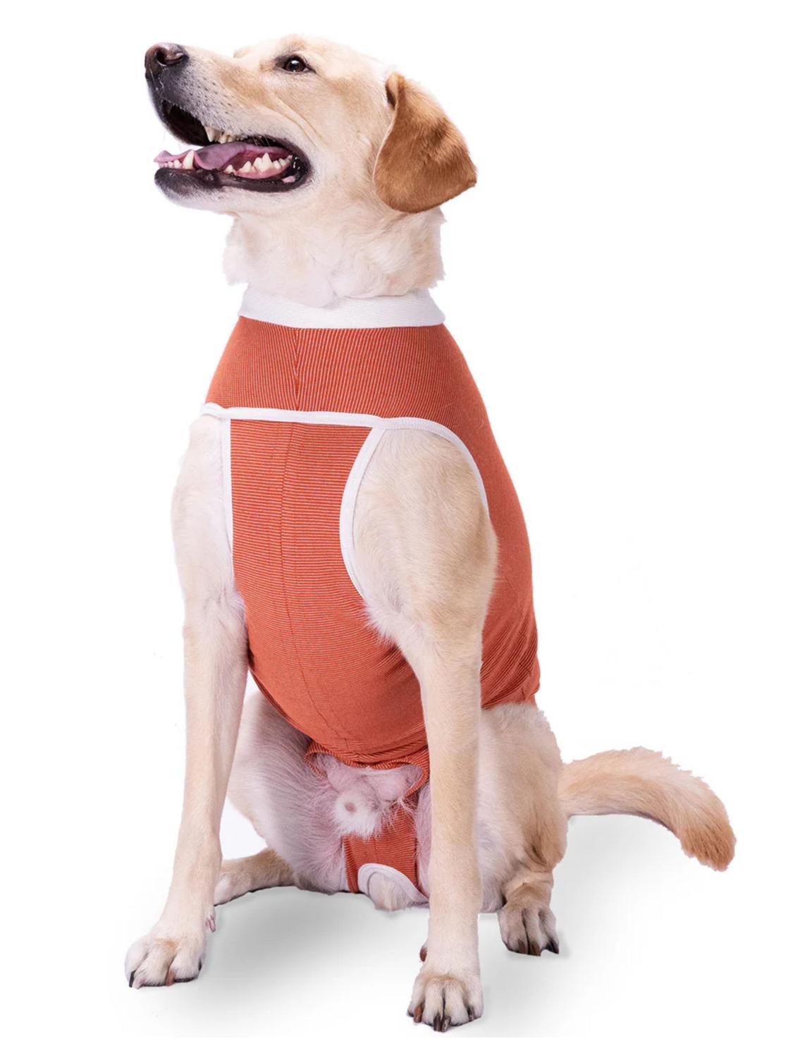 Body Cobre Kimba Tradicional Talla 8 (17 A 21 Kg) Naranja