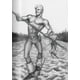 thumbnail image 4 of Po - Tom Of Finland. Blue Collar - Int, 4 of 6
