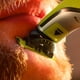 thumbnail image 4 of Repuesto Afeitadora Cuchilla Compatible Oneblade Giro 360 Qp2520, 4 of 4