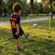 thumbnail image 5 of Juego Set De Fútbol - Toyng, 5 of 7