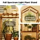 thumbnail image 3 of Soporte para plantas con estante de madera para interiores Grow Light Bamworld, 3 of 6
