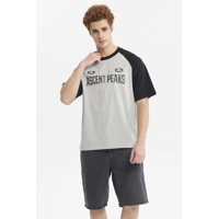 Fashionspark - Polera Hombre Slim Gris Melange - Ll