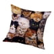 thumbnail image 1 of Funda De Cojín Con Estampado De Animales Para Sofá, Coche, Gato, 60x60cm, 1 of 5