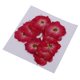 thumbnail image 3 of 10 Piezas De Flores Prensadas Secas Para Manualidades De álbum De Recortes Para Bricolaje Rosa Roja, 3 of 3