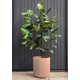 thumbnail image 5 of Maceta Veradek 46 cm Redonda para Exterior – Grande, 5 of 8
