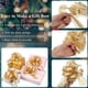 thumbnail image 3 of Monos Willbond de organza de 6 pulgadas (15 cm), 3 of 3