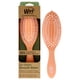 thumbnail image 1 of Cepillo Wet Brush Go Green Oil Infused Shine Aceite de Coco Unisex, 1 of 3