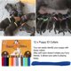 thumbnail image 5 of Kit de parto WEEGEEKS para cachorros de nacimiento con 12 collares y más, 5 of 7