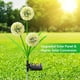 thumbnail image 3 of 1pc/2pcs 36 LED Solar Outdoor Lights, IP65 Waterproof 3-in-1 Garden Flowers Decorative Lights With 2 Modes For Garden, Yard, Patio, Pathway, 3 of 5