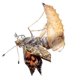thumbnail image 2 of Repuesto de orugas vivas Insect Lore para mariposas Painted Lady, 2 of 8