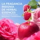 thumbnail image 5 of Perfume Herbal Essences para Cabello Fragancia a Rosas, 90 ml, 5 of 5