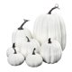 thumbnail image 1 of 7x Calabazas Artificiales A Granel Cosecha Falsa Para Centro De Mesa De Boda De Oto?o Blanco, 1 of 5