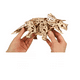 thumbnail image 3 of Triceratops, 3 of 4
