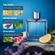 thumbnail image 3 of Colonia MivaSun Fougère 100 ml de larga duración, amaderada, 3 of 9