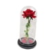 thumbnail image 1 of Flor Eterna, Cubierta De Cristal De Rosa, Flor Artificial Para Niñas, Regalo, Base Negra Con Pétalo, 1 of 5