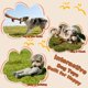 thumbnail image 5 of Juguete para perro HUGEME Mono/Elefante de peluche con silbido - Pack de 2, 5 of 8