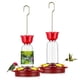 thumbnail image 1 of Comedero para colibríes PENXUA colgante para exteriores 250 ml con 5 puertos de alimentación, 1 of 9