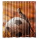 thumbnail image 1 of Cortina de ducha con diseño de balón de fútbol, juego de cortina de baño con ganchos, tamaño 66 x 72 pulgadas, 1 of 3