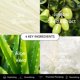 thumbnail image 3 of Mascarilla Labial Hidrogel Coreano con Colágeno LOOPS Weekly Reset 5 Piezas, 3 of 6