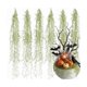 thumbnail image 1 of Musgo Artificial SEEKO Succulents 84 cm - Pack de 6 para Halloween, 1 of 7