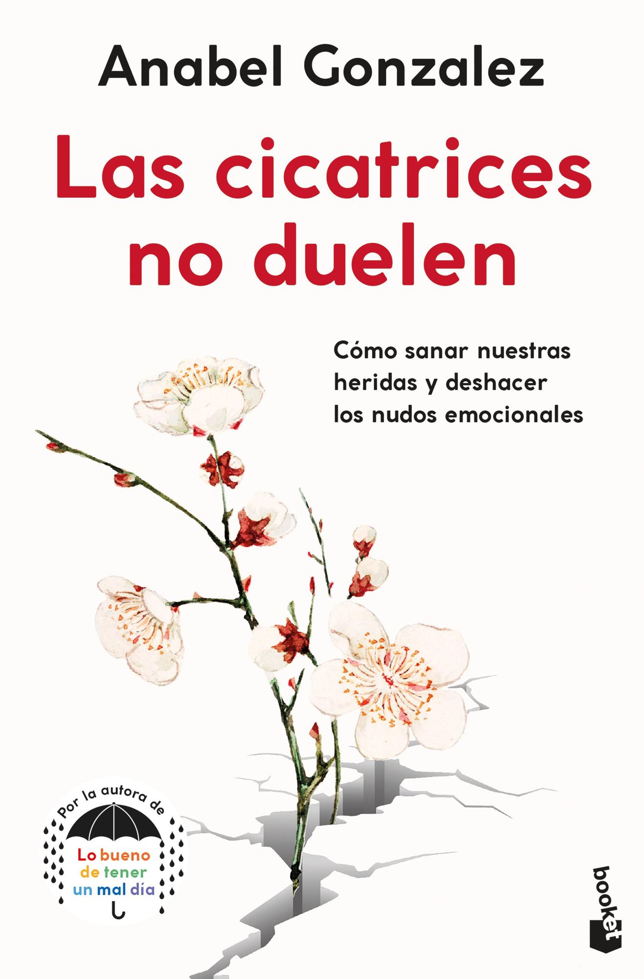 Booket - Libro Las Cicatrices No Duelen - Anabel Gonzalez