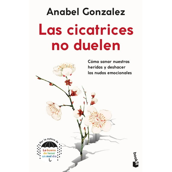 Libro Las cicatrices no duelen - Anabel Gonzalez
