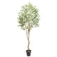 thumbnail image 1 of Arbol De Olivo Con Proteccion Uv 210 Cm, 1 of 2