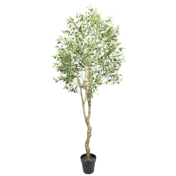 Arbol De Olivo Con Proteccion Uv 210 Cm