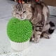 thumbnail image 1 of Comedero para hierba gatera, cepillo de aseo y masajeador facial para gatos, 1 of 6