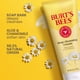 thumbnail image 4 of Gel de limpieza profunda Burt's Bees para el rostro, 180 ml, 3 unidades, regalos de Navidad, 4 of 9