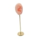 thumbnail image 4 of Soporte de Exhibición de Pendientes Herramienta de Enseñanza de Selección de Orejas Soporte de Exhibición de Auriculares Soporte de Exhibición de Audí rosa derecha, 4 of 5