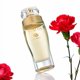 thumbnail image 5 of Perfume Zermat Status Floral 60 ml para mujer, 5 of 6