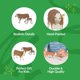 thumbnail image 3 of Farm Toy Big Country Toys Hereford para vacas y becerros, escala 1:20, 3 of 6