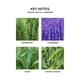 thumbnail image 3 of Difusor De Varillas Cedar Leaf Lavender 175 Ml, 3 of 6