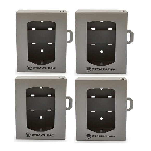 Caja de seguridad Stealth Cam Bear (pequeña) con paquete de 4