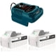 thumbnail image 1 of 24V 6.0Ah Juego de 2 Pzas de Batería+cargador Compatible para Snow*Joe, Sun*Joe iON+ Baterías, para Batería 24VBAT-LTX 24VBAT-LTW 24VBAT-LTE 24VBAT-XR, 1 of 10